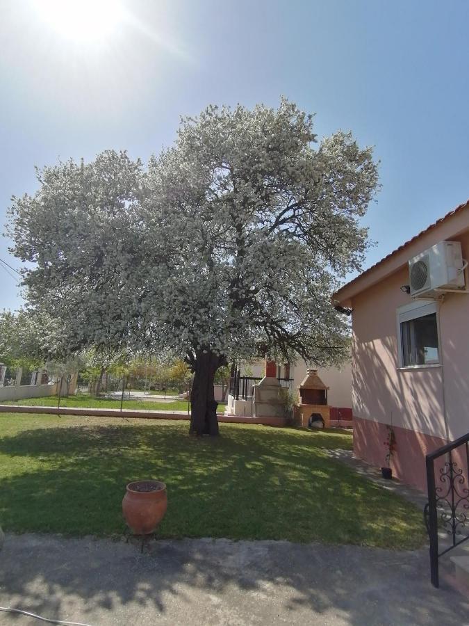 Αξέχαστη Διαμονή - Unforgettable Accommodation Nea Kallikrateia المظهر الخارجي الصورة