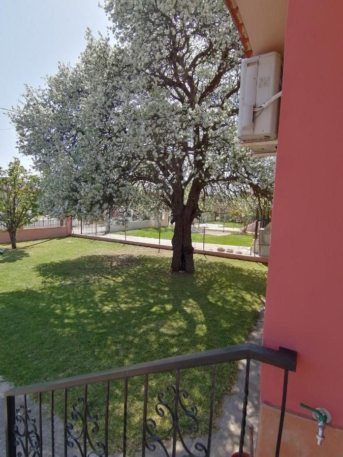 Αξέχαστη Διαμονή - Unforgettable Accommodation Nea Kallikrateia المظهر الخارجي الصورة