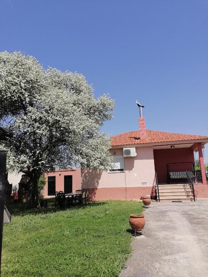 Αξέχαστη Διαμονή - Unforgettable Accommodation Nea Kallikrateia المظهر الخارجي الصورة